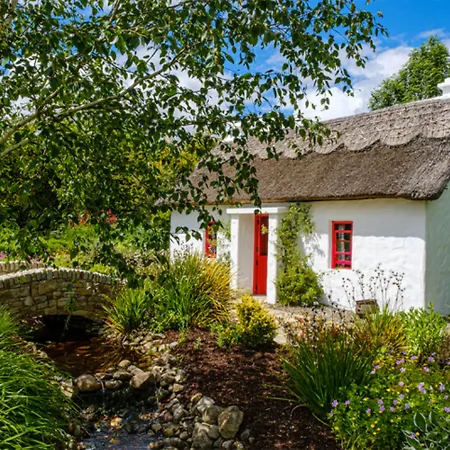 Hotel The Rose & V-spa 4*