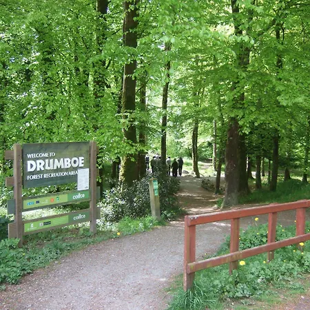 The Rose & V-spa Ballybofey