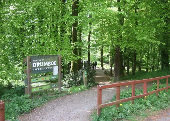 玫瑰别墅酒店及温泉 巴利博菲